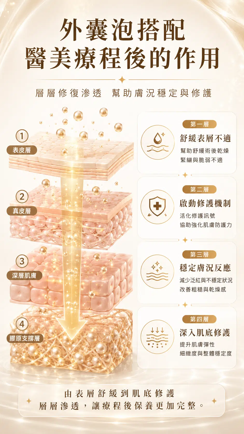 ASCE 魔泌